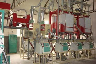 【面粉機組、面粉機成套設備專業的生產廠家】